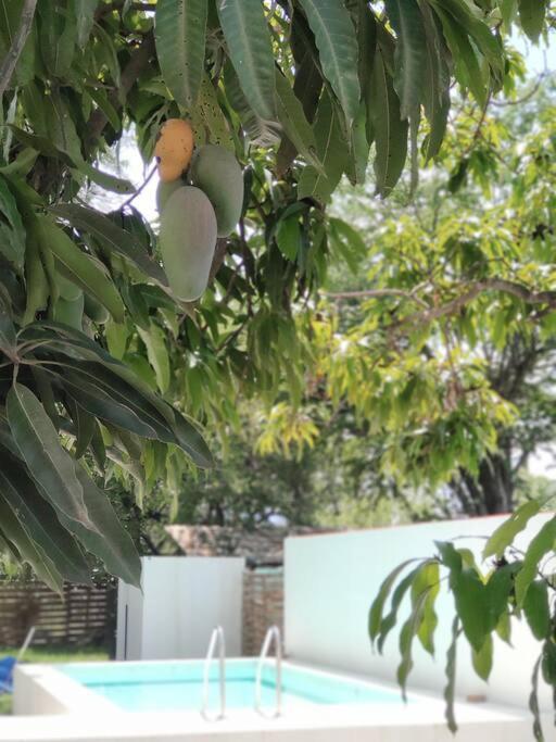 Casa Mango Amplia Con Alberca Y Cerca De La Media Luna !!! Río Verde Exteriör bild