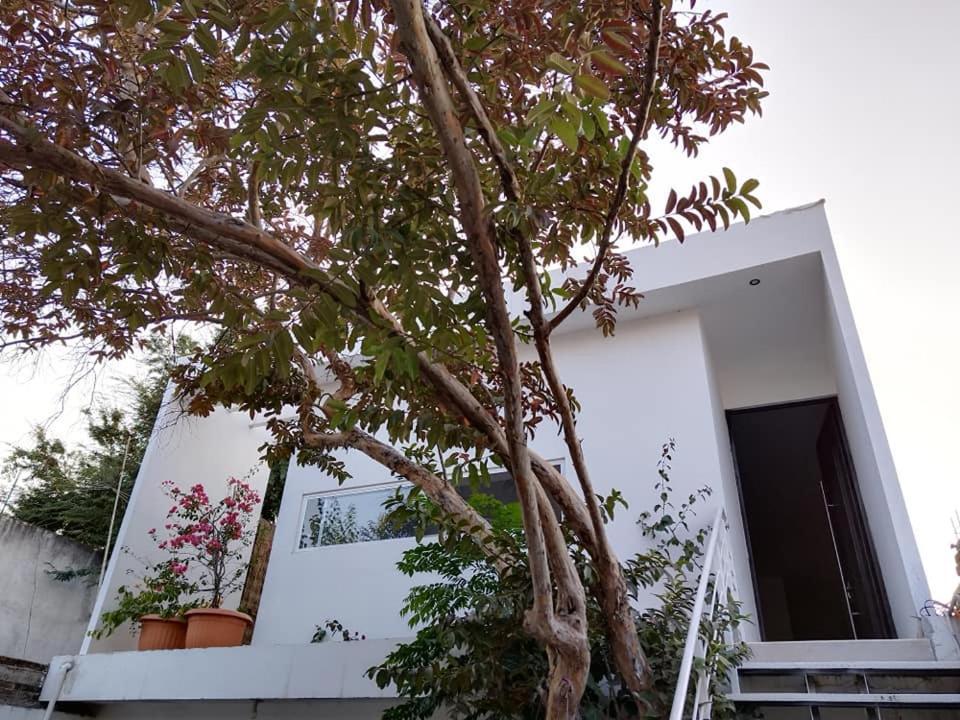 Casa Mango Amplia Con Alberca Y Cerca De La Media Luna !!! Río Verde Exteriör bild
